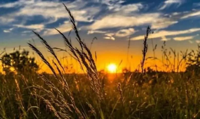 طقس مغبرٌّ نهاراً ومنخفض الحرارة ماطر مساءً