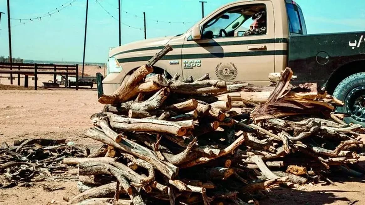 مصادرة حطب وضبط مخالفين في البيرة