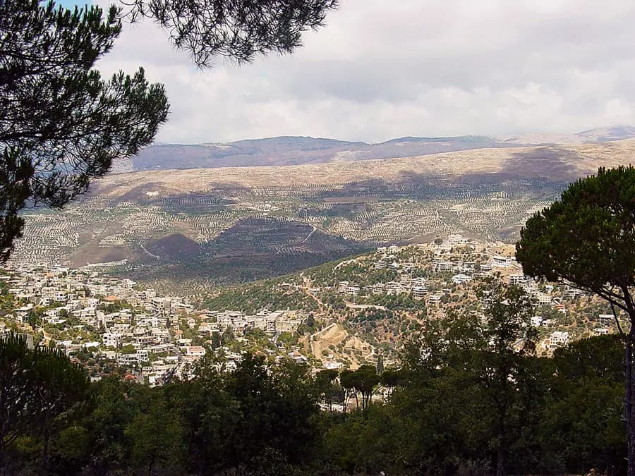 في قضاء حاصبيا.. هذه البلديات تفوز بالتزكية