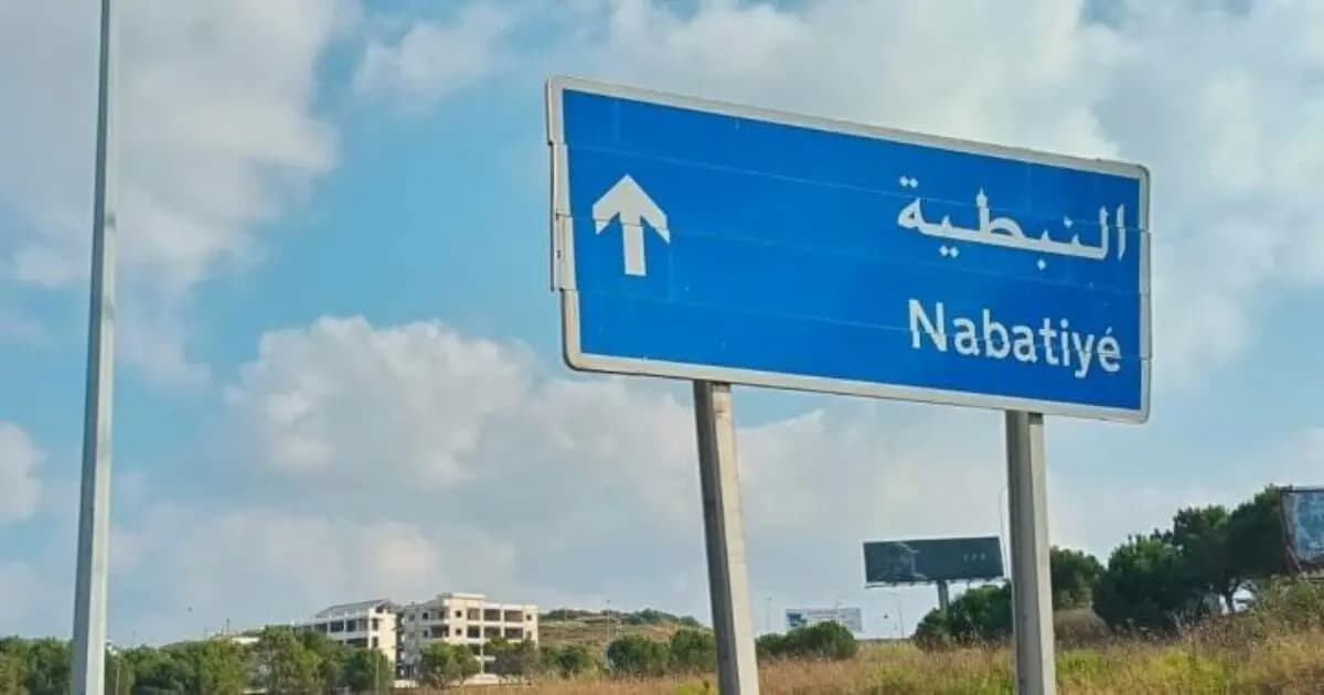 في النبطية وحدها.. هذا ما بلغته نسبة الاقتراع