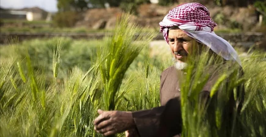 مزارعو البقاع يطلقون صرخة استغاثة
