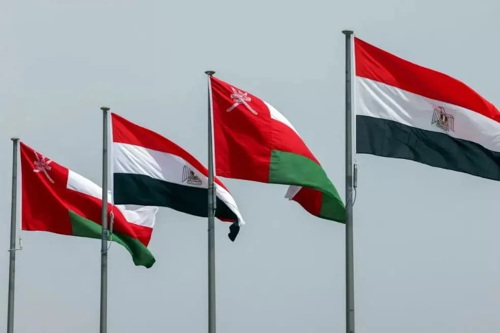 القاهرة ومسقط: لا لتهجير الفلسطينيين.. ودعوة لحلول سياسية