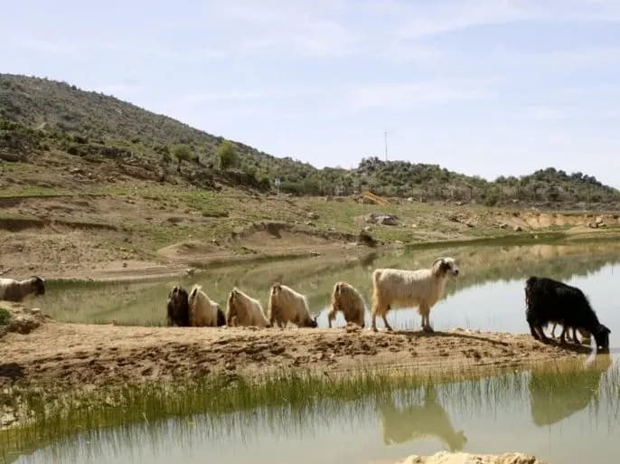 جدل بين حمدان وجنبلاط على خلفية ملف مزارع شبعا