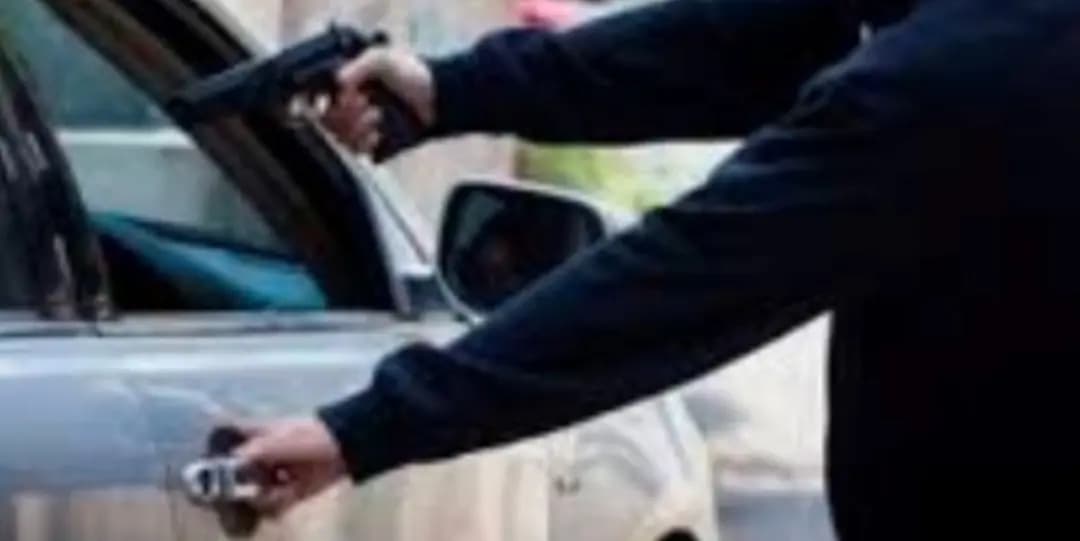 احذرِ البيضَ أثناءَ القيادة!