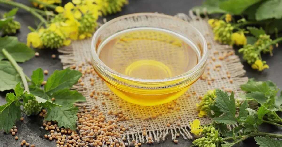 زيت الخردل: فوائد لا تصدق!