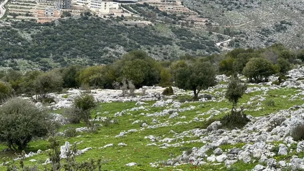 استهداف دراجة نارية في الطيري