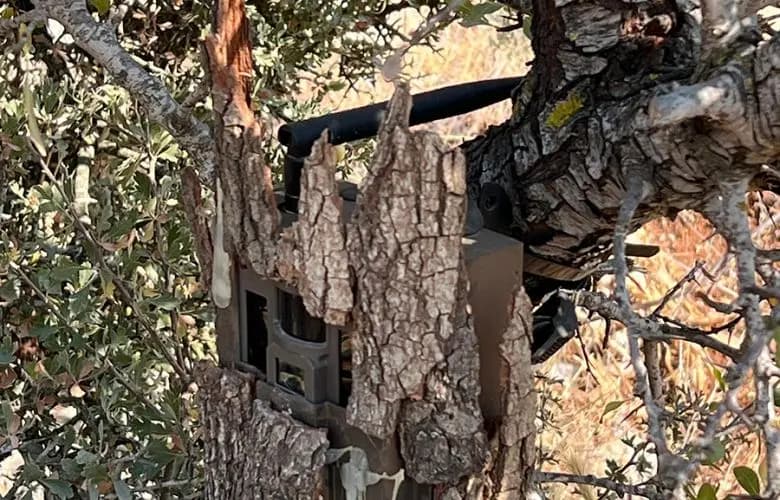 الجيش يفكّك جهاز تجسس إسرائيلي في هذه المنطقة