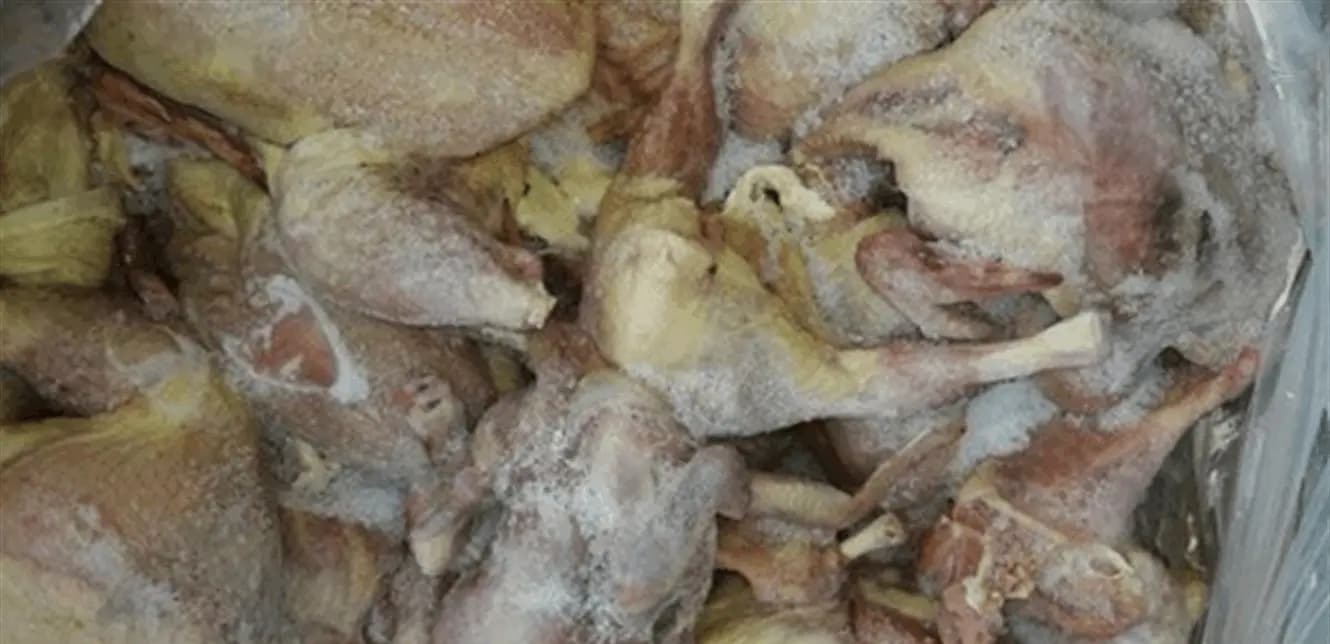 دجاج فاسد هُرِّب بدراجات نارية.. إليكم التفاصيل!