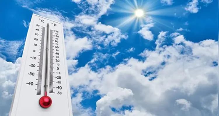 طقس معتدل مع ضباب وأمطار محلية.. إليكم التفاصيل