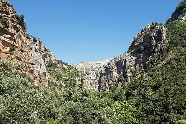 حريق كبير في وادي حلبا
