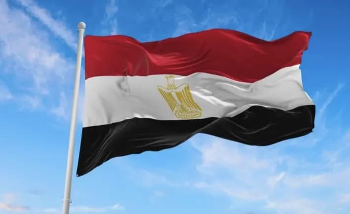 مصر تدعو لتفعيل الدفاع العربي المشترك