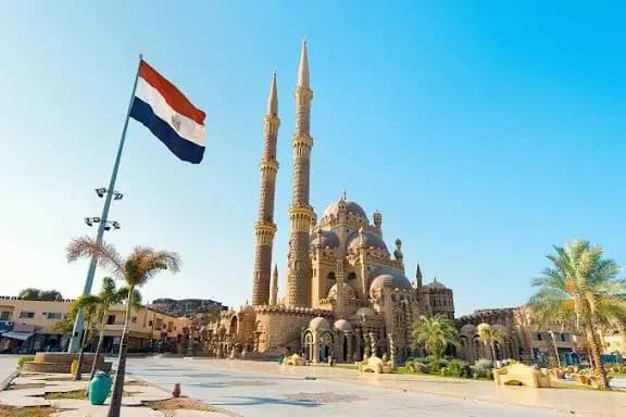 مصر تتحضر للمواجهة!