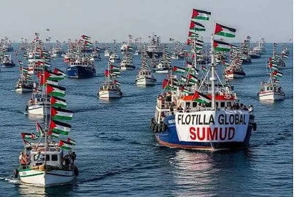لبنانيو "أسطول الصمود" يعودون أحرارًا