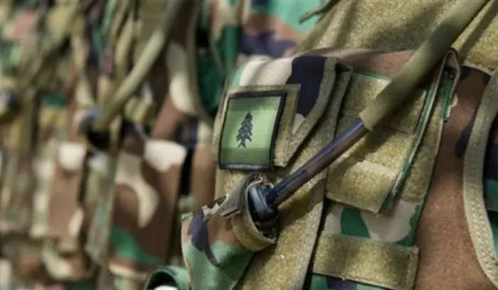 الجيش يوقف سوريَّين في المرج وبر الياس.. وهذا ما ضُبط بحوزتَيهما