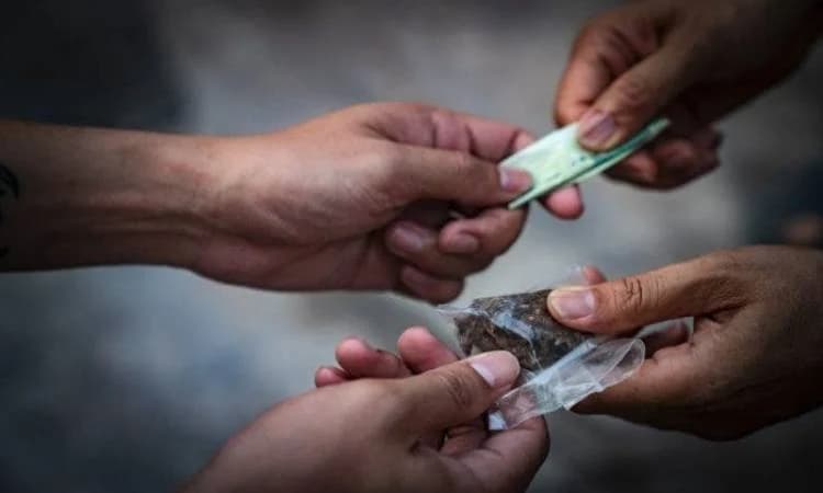 عشرينيان يروجان المخـ.ـدرات.. والأمن يوقفهما