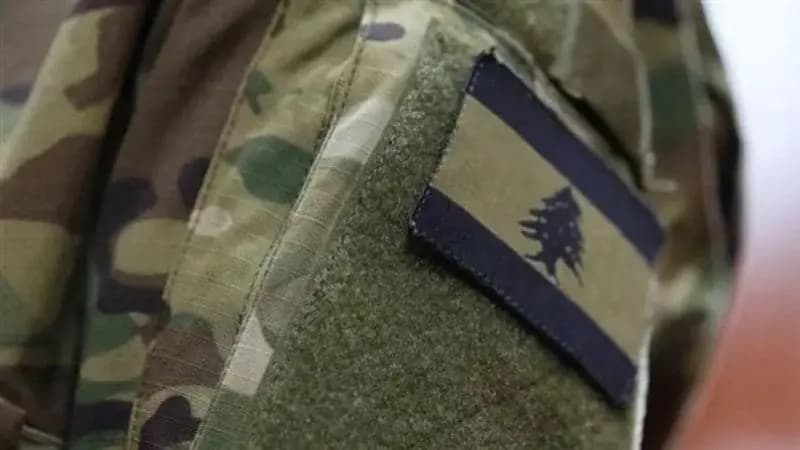 "توخوا الدقة".. الجيش: لا هبة مالية عربية