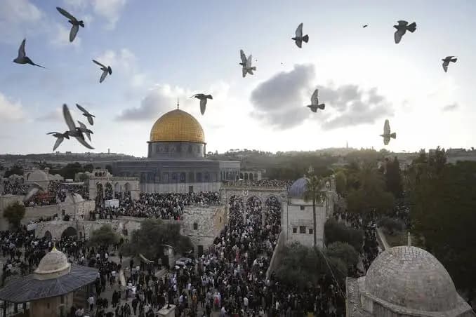 بعدَ المحرقةِ حتمًا.. الدولةُ الفلسطينية