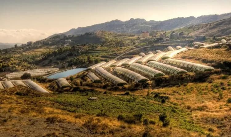 لا تقتربوا من حقل وطى الجوز غدًا!