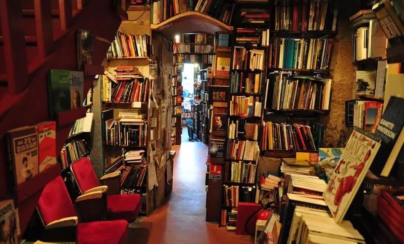 عجز عن شراء الكتب الجديدة والبحث جارٍ عن "المستعمل"
