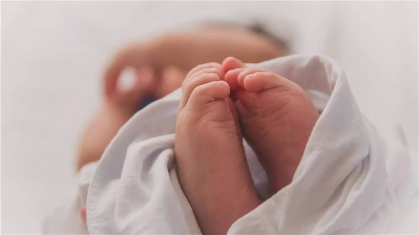 قضيّةٌ خطيرة وجرسُ إنذار: "الوحوش" بيننا!
