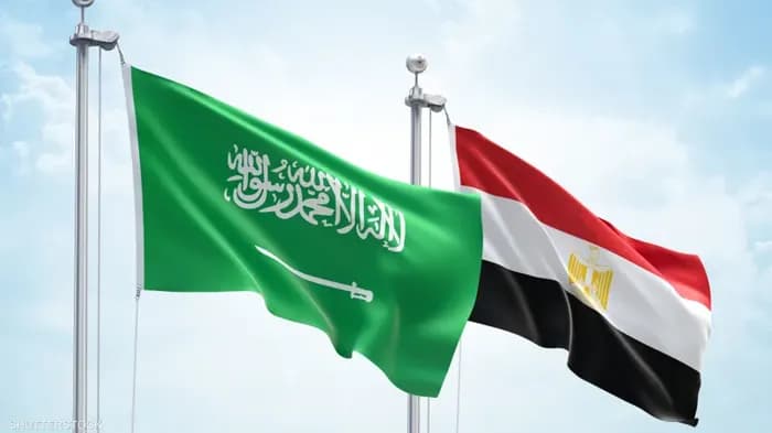 فوز عربي مزدوج في المنظمة البحرية الدولية