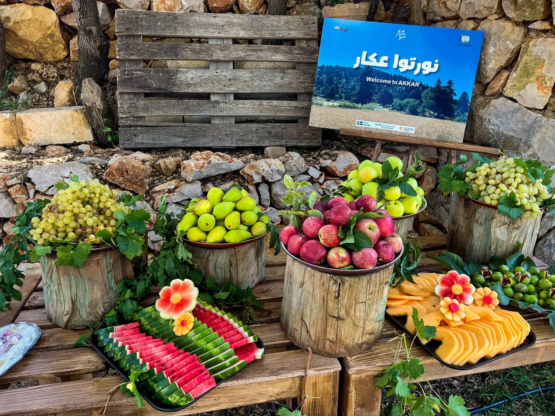 عكار المنسيّة أقرب إلى السويد من بيروت