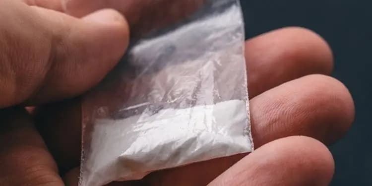 توقيف مهرب كوكايين عبر دمشق إلى لبنان
