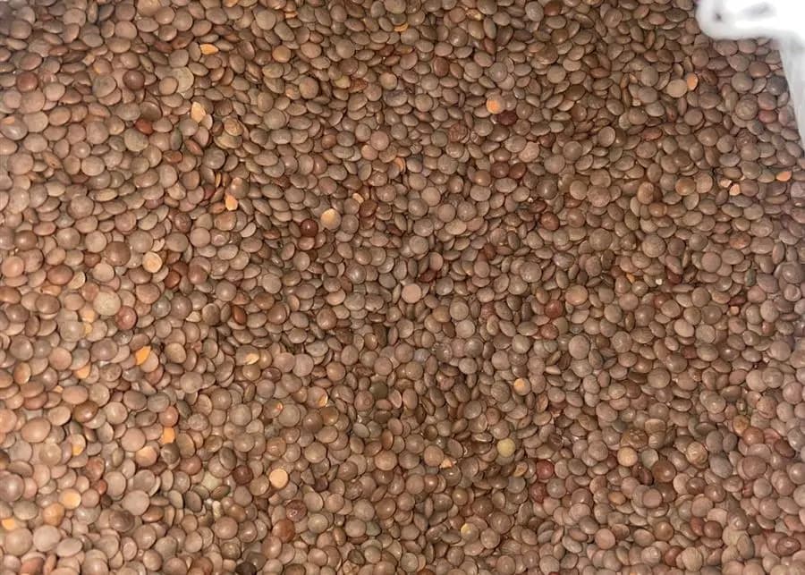 دخان ومواد غذائية مهربة