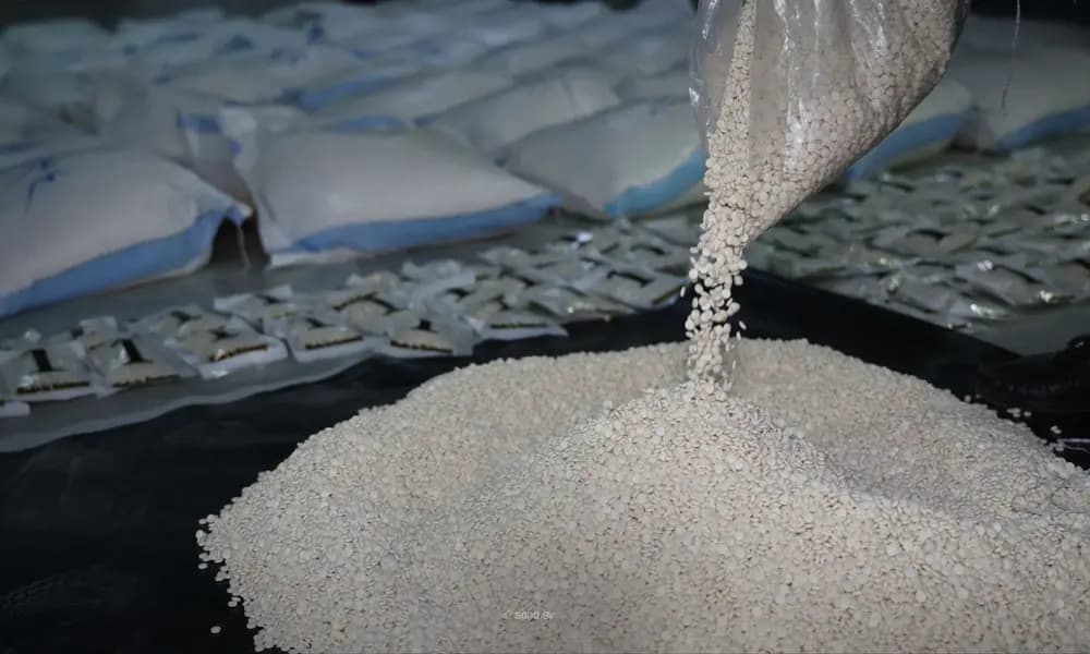 توقيف مروّج مخدّرات في كسروان