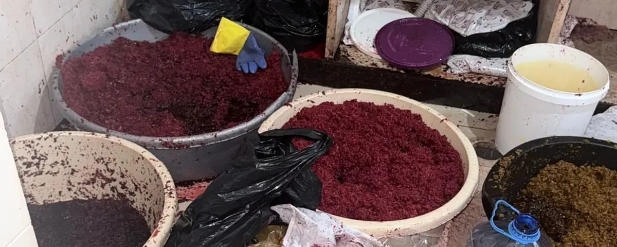 الريجي تضبط معسلًا مزوّرًا