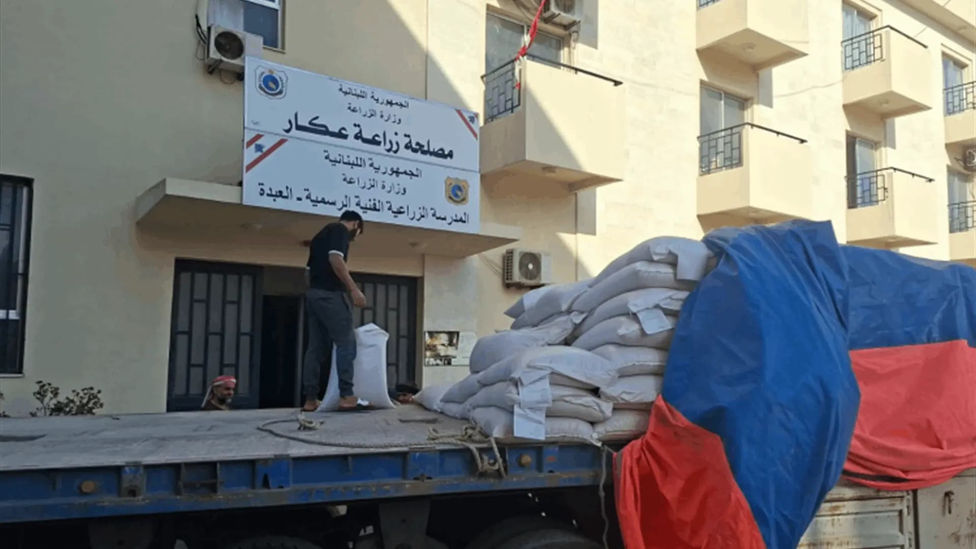 توزيع بذور قمح محسّنة لتعزيز الإنتاج الزراعي
