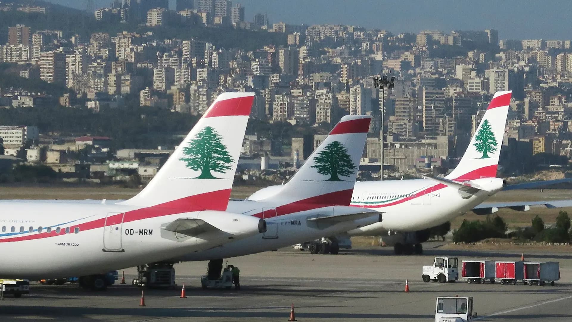 نائبان إلى الدوحة