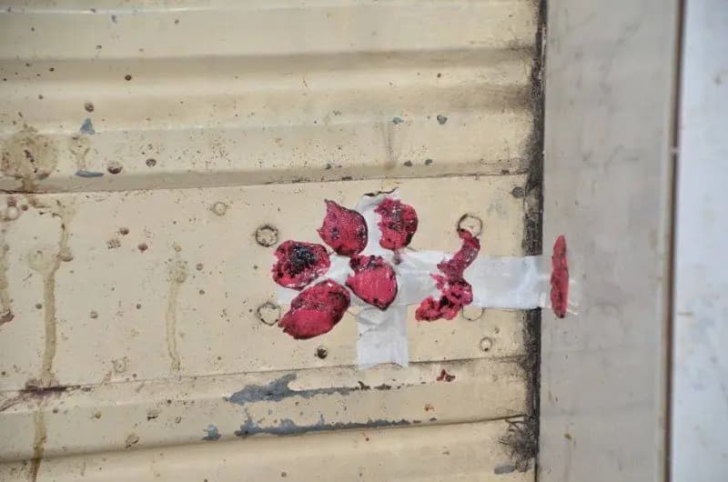 بعد فيديو الرقص "الفاضح".. هذا مصير مطعم "ليزا"