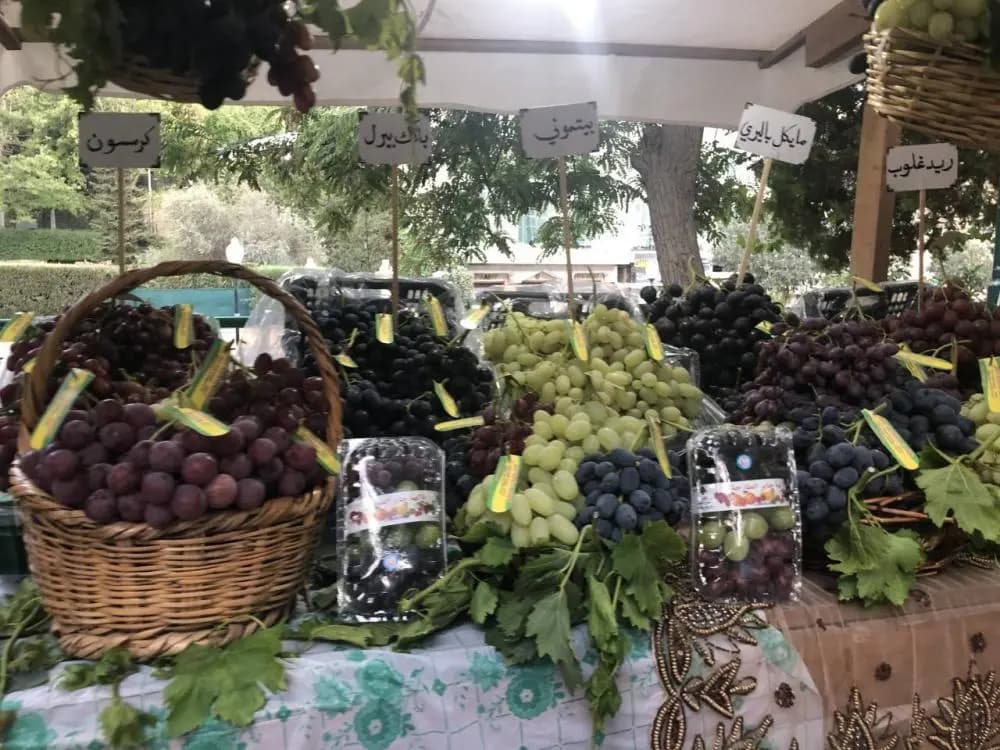 حديقة شعراء عروس البقاع تستذكر الماضي بمعرض عنب المائدة