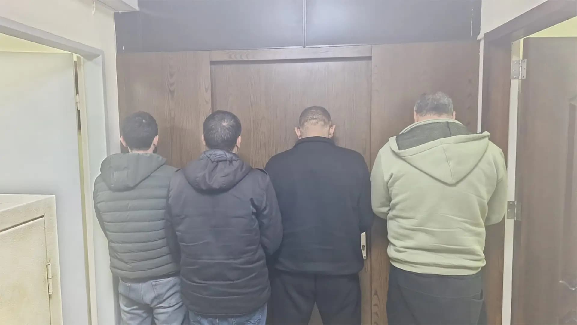 أبقار وعجول مهرّبة!