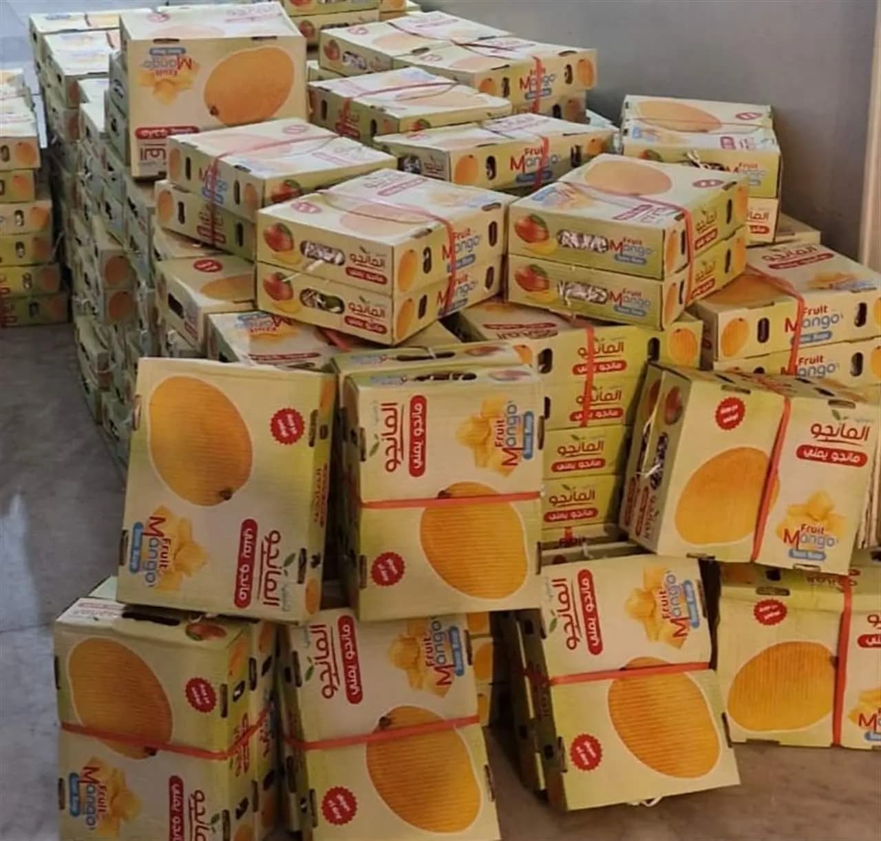 مانغا مهربة في طرابلس!