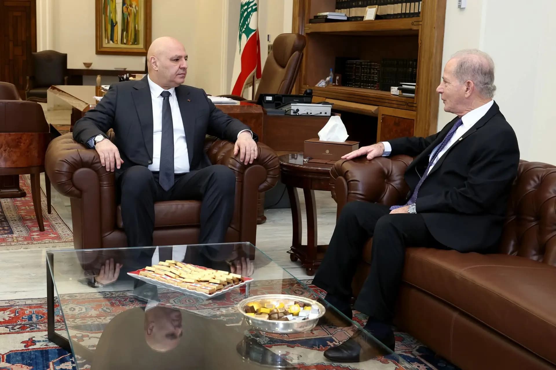 عون يستقبل السفير الأميركي في لبنان.. وهذا ما تم بحثه