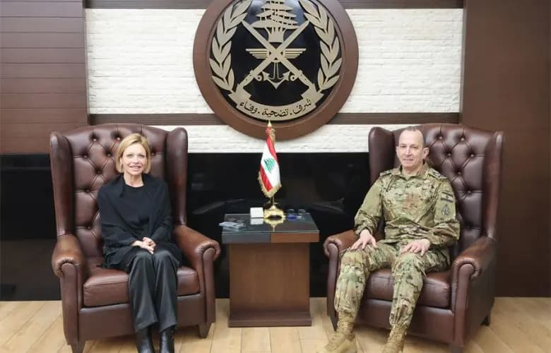 هيكل يستقبل المنسقة الأممية ويودّع السفير الإيراني