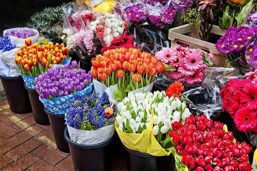 باقة الورد بألف دولار في عيد العشاق