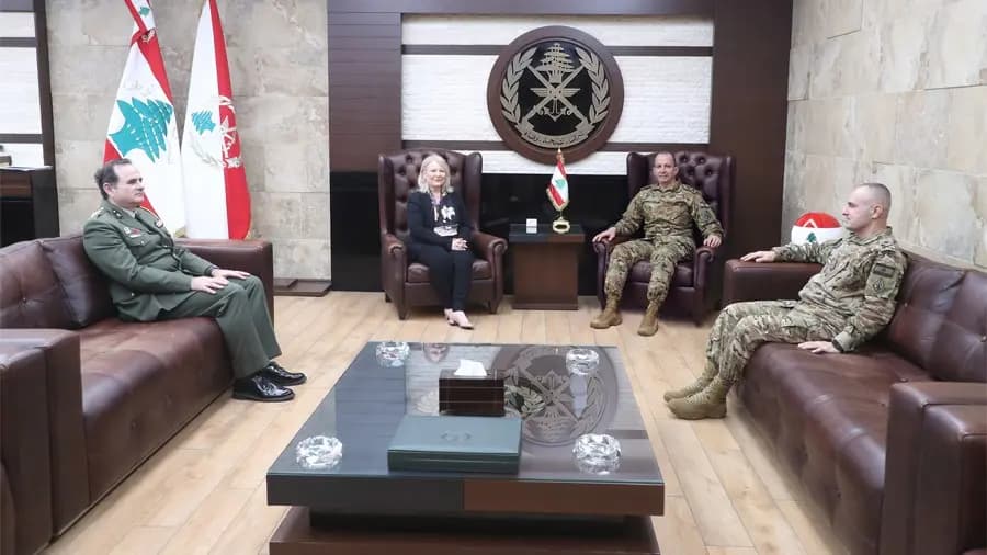 هيكل يبحث مع السفيرة اليونانية تعزيز التعاون