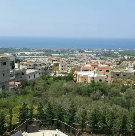 جريمة قتل تهز الصرفند.. أين حصلت وما سببها؟