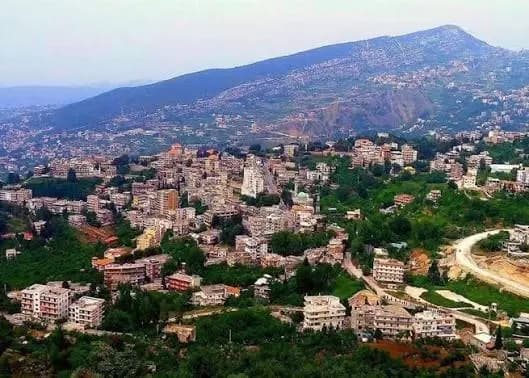 عراك وتضارب بالعصي.. هذا ما حصل في الضنية