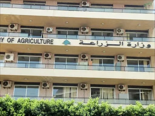 وزارة الزراعة: نتابع الأسواق يوميًا.. وارتفاع الأسعار غير مبرّر