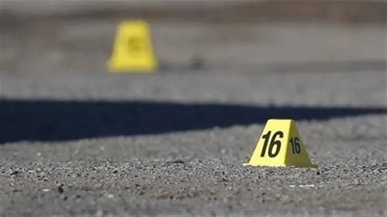 كشف تفاصيل اضافية في جريمة قتل لبناني في برلين