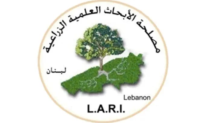 "Lari" تُطلق ورشة عمل لتطوير قطاع الزيتون