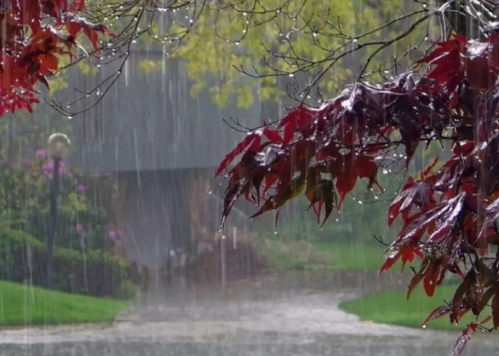 منخفض جوّي يبدأ بالتأثير التدريجي على لبنان