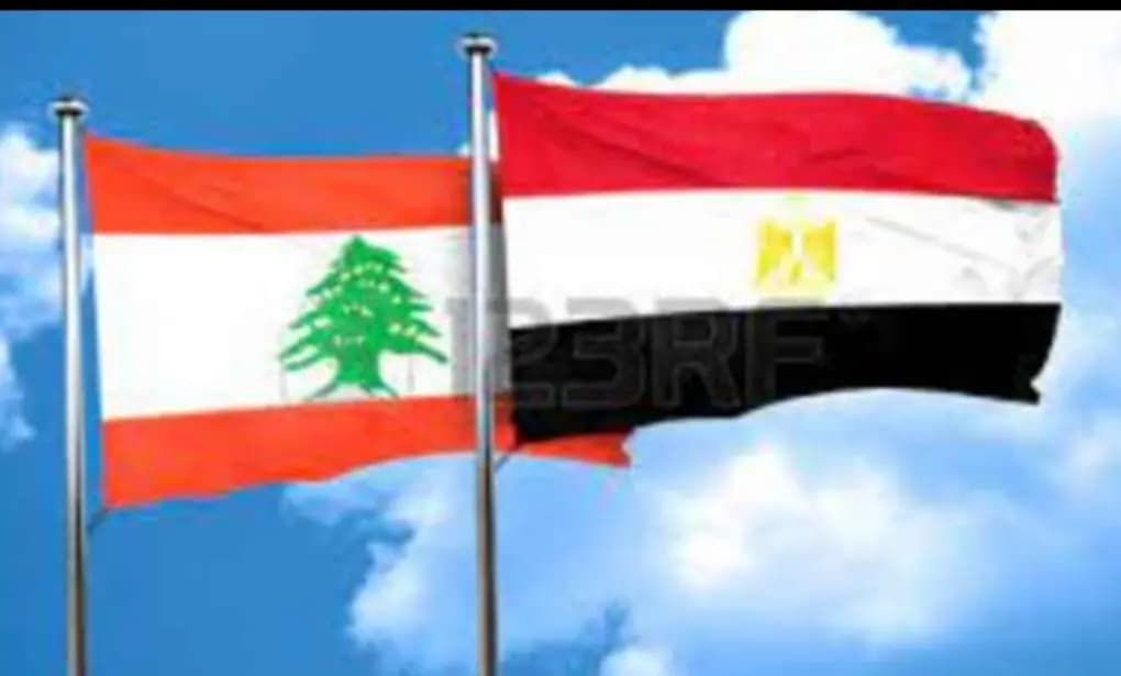 من مصر إلى لبنان... دعمٌ لمواجهة الكوليرا