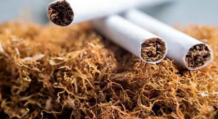 بدء تسلم إدارة الريجي التبغ من المزارعين