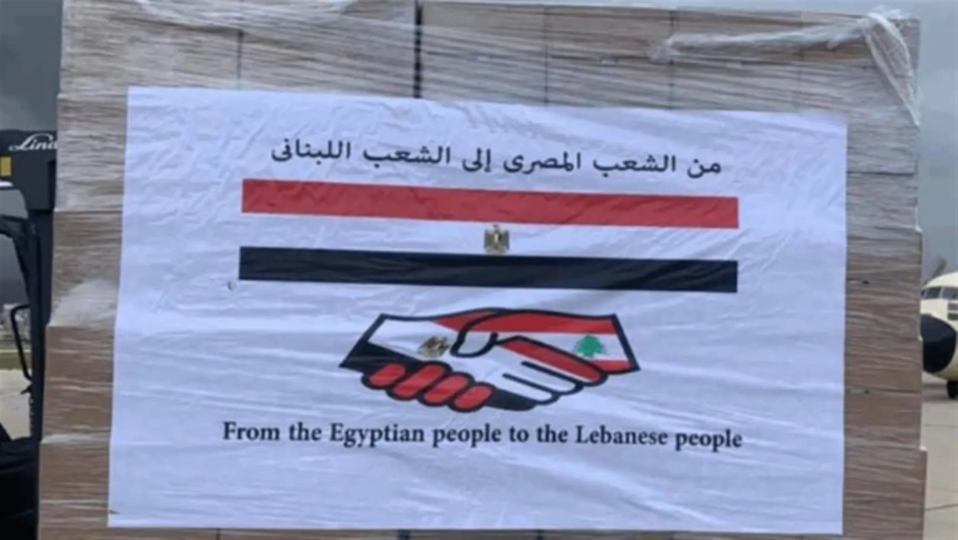 هبة مصرية لمكافحة الكوليرا إلى لبنان