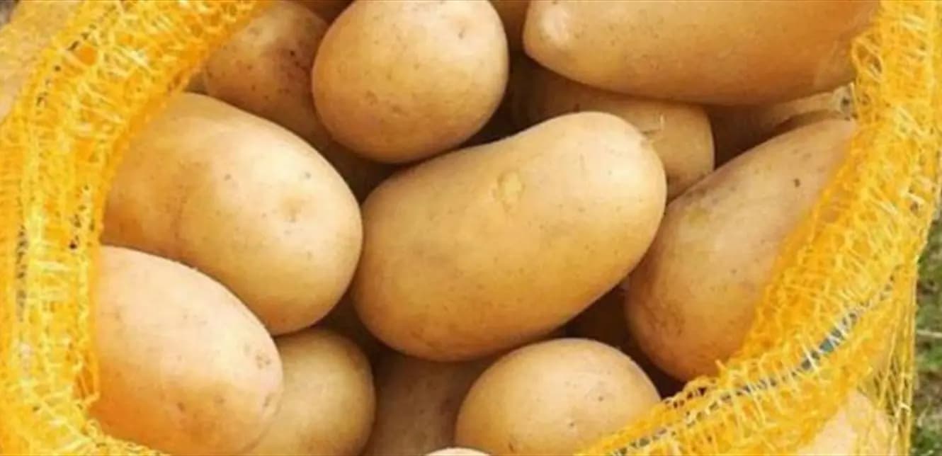 البطاطا تُدخِلُ العملة إلى لبنان!